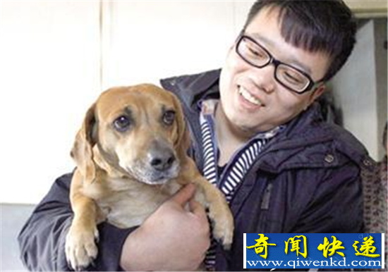狗狗狂吠报信救下老人性命