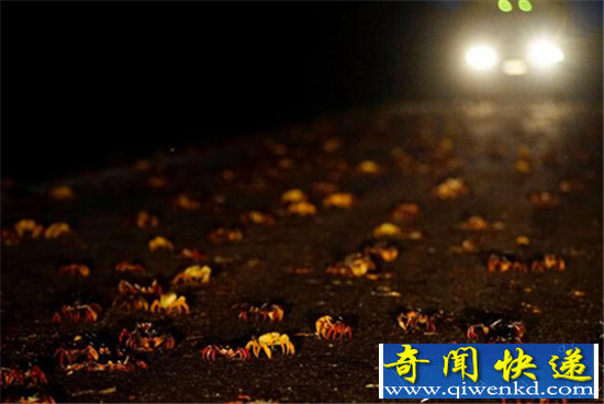 �ŰͰ����з���� �����˾�Ȼ���зû��һ��취