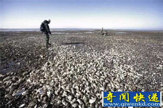 ������򺷺�ĳ��� ������������������ѣ��Ͻ����Ұ�ǩ֤��