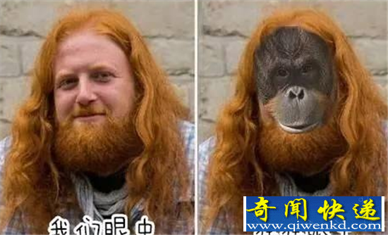 ������Ӳ����ë������ǿ�� ������������ڴ��Ѫ