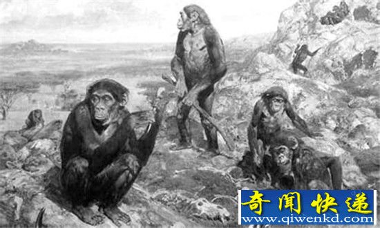 中国南方巨猿为什么会灭绝 揭开巨猿神秘面纱