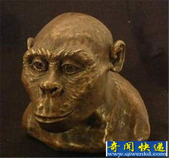 中国南方巨猿为什么会灭绝 揭开巨猿神秘面纱