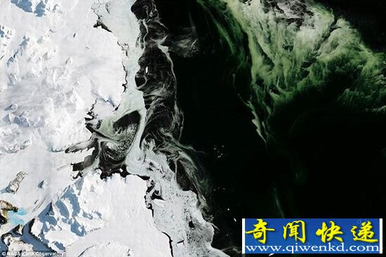NASA发现南极洲浮游生物 海水变色!