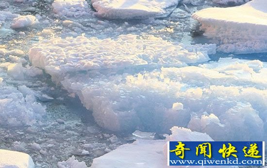 NASA发现南极洲浮游生物 海水变色!