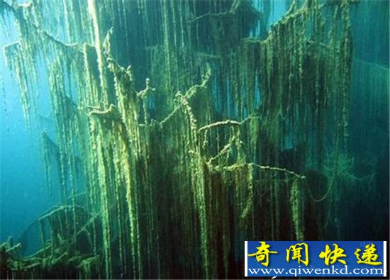 英国发现水下300米奇观 史前森林绵延数千公里