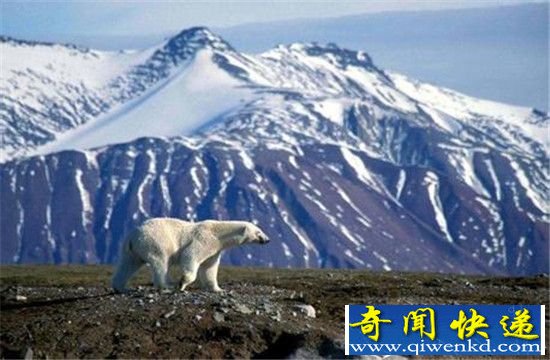 气候变化使海洋形成“死亡地带” 影响人类生存