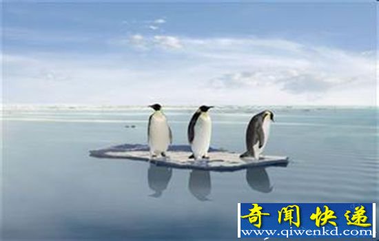美国科学家找到了中国雾霾的原因:北极海冰融化