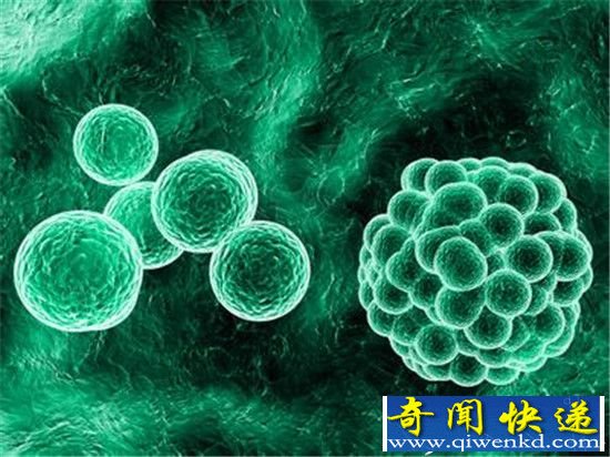 地球上99.999%物种未知 大部分都是微生物