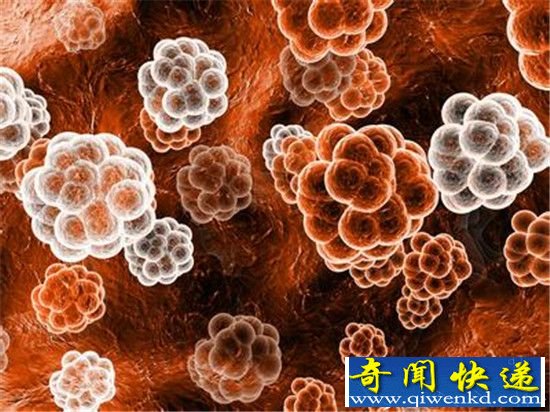 地球上99.999%物种未知 大部分都是微生物