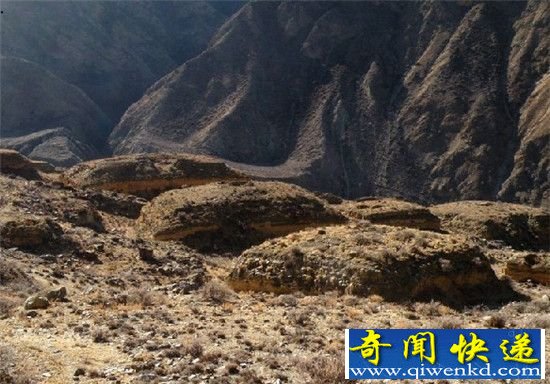 ���ط���2700�����ĹȺ �ھ��13��Ĺ��