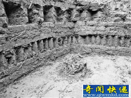 ɢ�������ƴ���Ĺ ѧУ������ٻؼ���Ϲ���