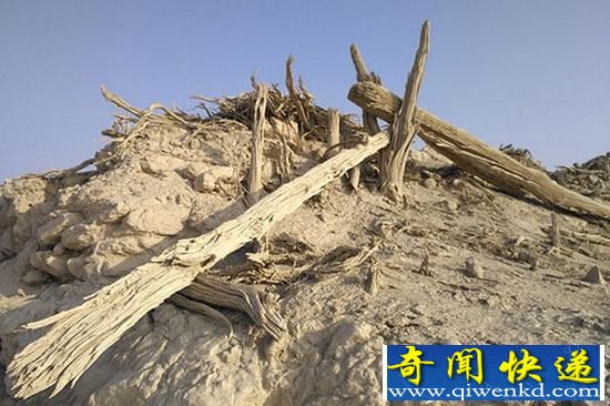 罗布泊发现古城面积庞大 专家断定为楼兰古国都城:谜团将揭