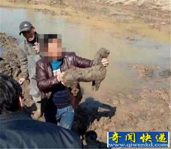 �������ڳ�������Ĺ ���ֳ������ﾫ������