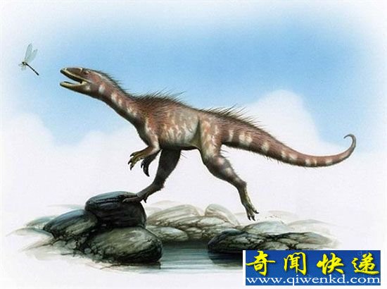 科学家发现恐龙足部化石 系霸王龙“迷你祖先”
