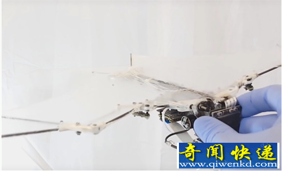 93克的蝙蝠机器人 执行搜索和救援任务