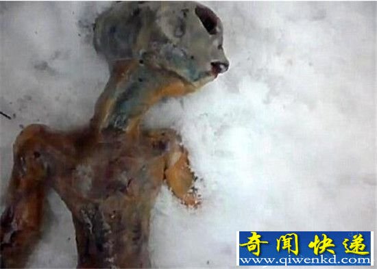 这些神秘生物骗了人类上百年 真相终于曝光