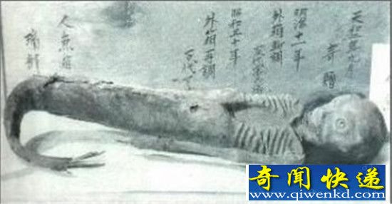 各国美人鱼尸体照片曝光 真相吓死人