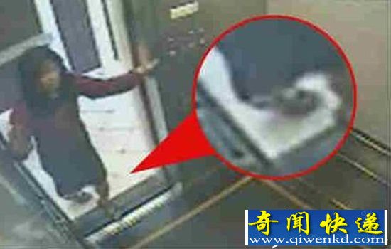 蓝可儿死亡真相大白 香港纸盒藏尸案更恐怖