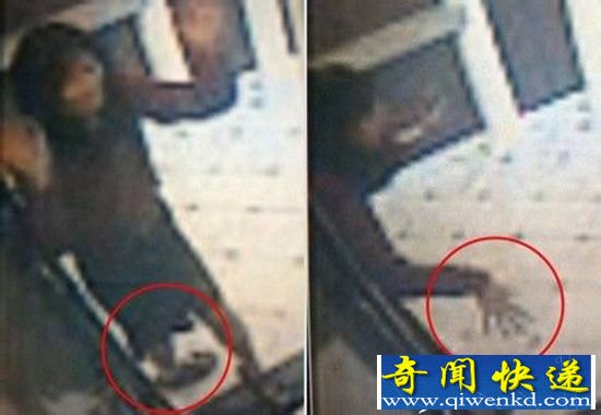 蓝可儿死亡真相大白 香港纸盒藏尸案更恐怖