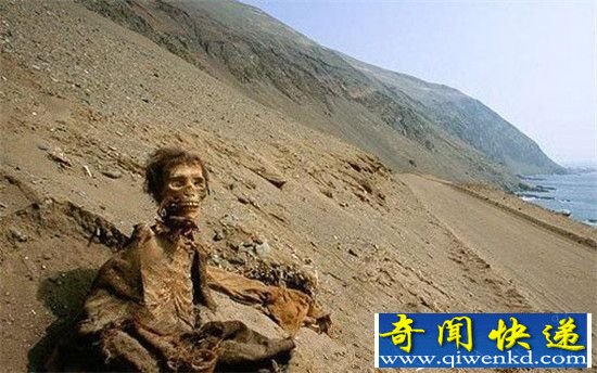 ľ��������ɫ������΢Ц ���ŷ������˿־�