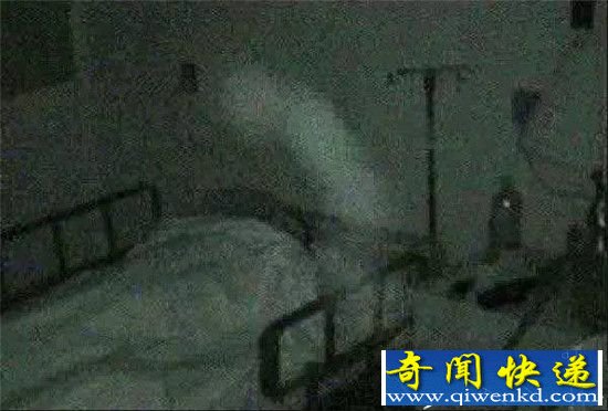 史前翼龙竟然还活着?那些让人毛骨悚然的老照片