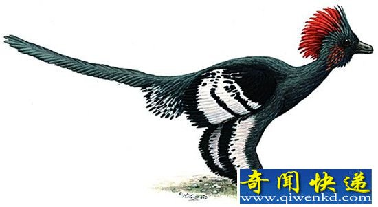 恐龙再现地球全球民众恐慌 科学家称告知不必害怕