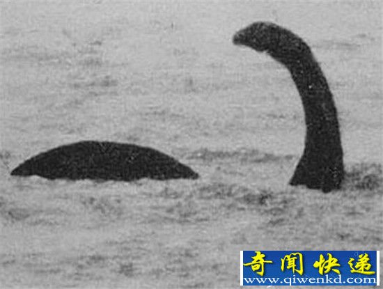 尼斯湖水怪真相 世界上最后一只恐龙