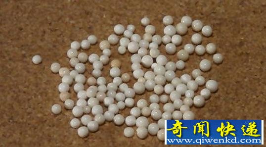 佛家高僧舍利子