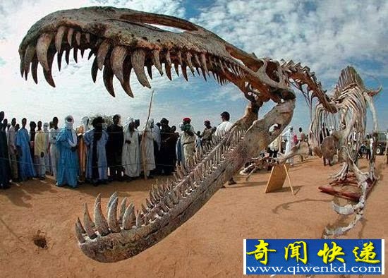 死亡之地撒哈拉沙漠 风沙下竟埋藏千年文明