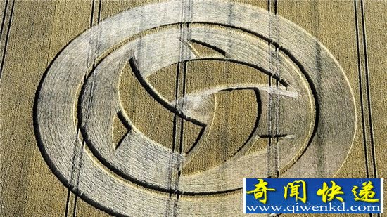 外星人存在最有力论证:麦田怪圈形成原因