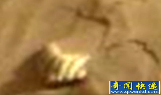 火星上发现贝壳化石 证明火星曾经有生命存在