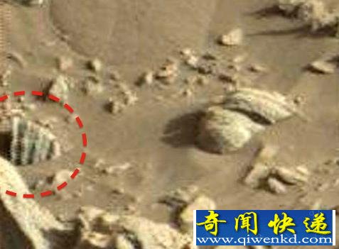 火星上发现贝壳化石 证明火星曾经有生命存在