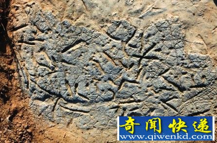 火星照片发现象形文字石刻遗迹 证明火星曾经有智能生命存在