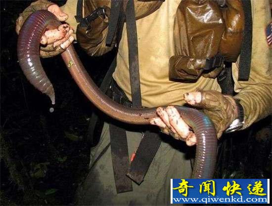 棺32ޣ㶼û