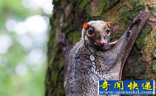 棺32ޣ㶼û