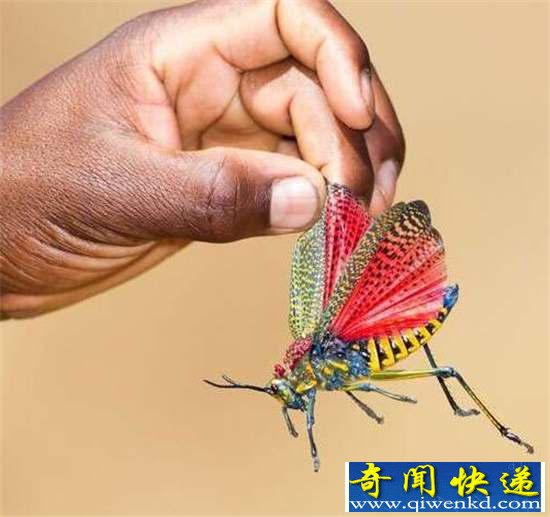 棺32ޣ㶼û