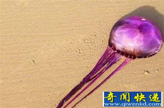 棺32ޣ㶼û