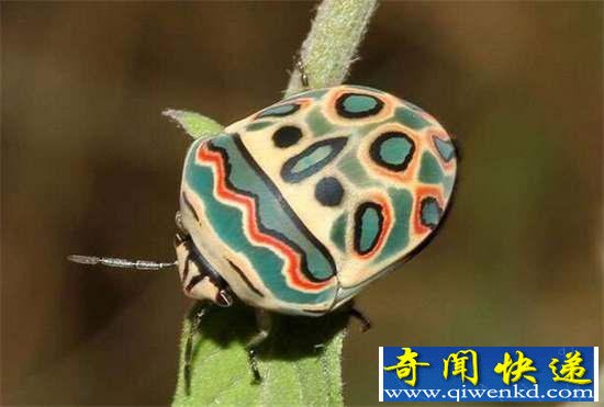 棺32ޣ㶼û