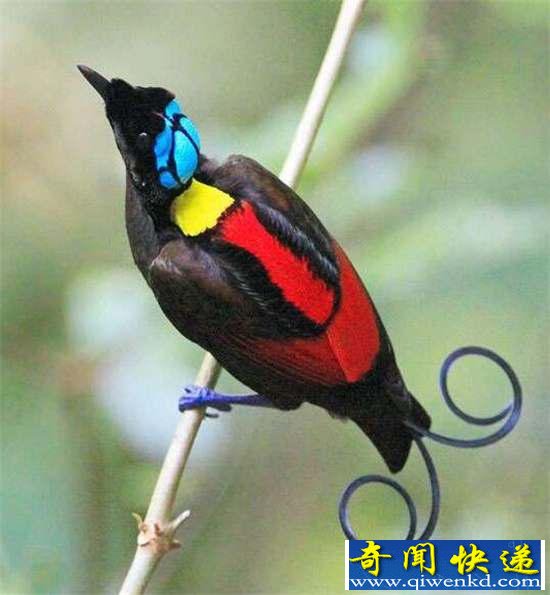 棺32ޣ㶼û