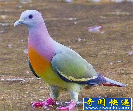 棺32ޣ㶼û