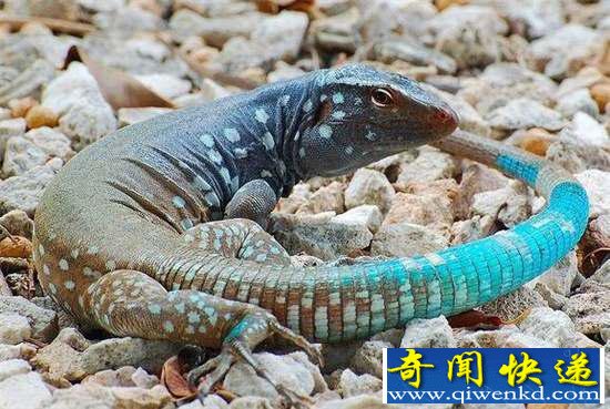棺32ޣ㶼û