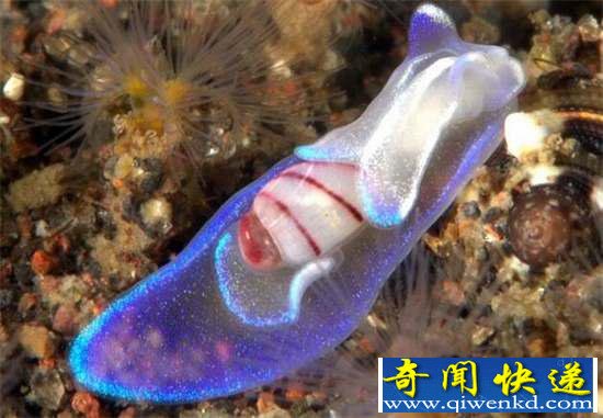 棺32ޣ㶼û