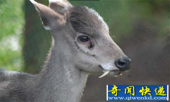 棺32ޣ㶼û