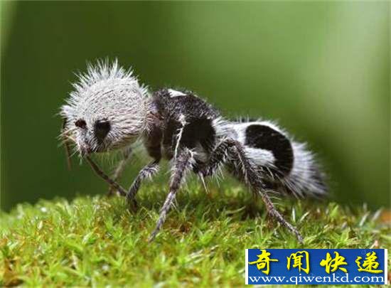 棺32ޣ㶼û