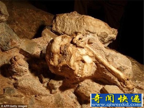 ���龹������ʼ�棿���ŷ���200����ǰ��֤��