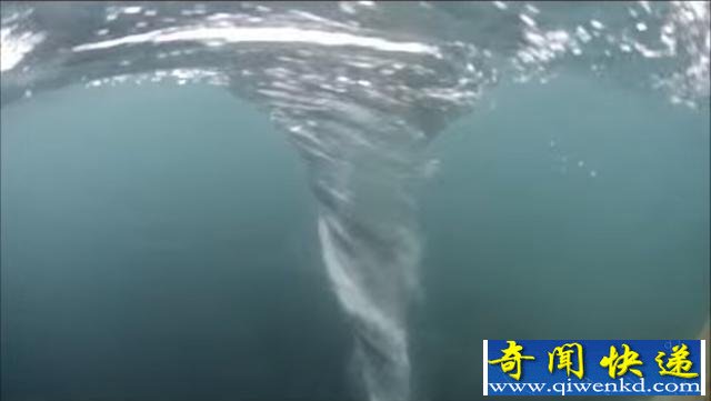 男子为拍摄强大海洋漩涡跳进海里,被之后的一幕惊吓到了!