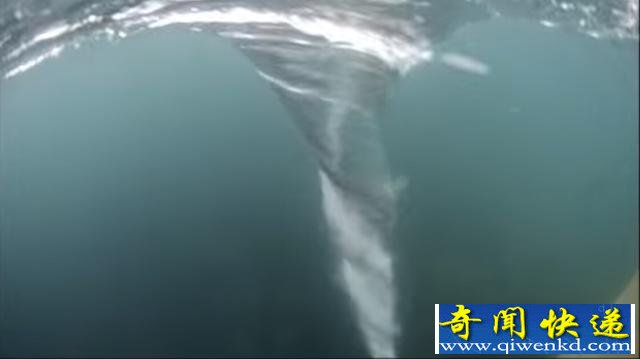 男子为拍摄强大海洋漩涡跳进海里,被之后的一幕惊吓到了!