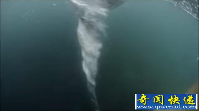 男子为拍摄强大海洋漩涡跳进海里,被之后的一幕惊吓到了!