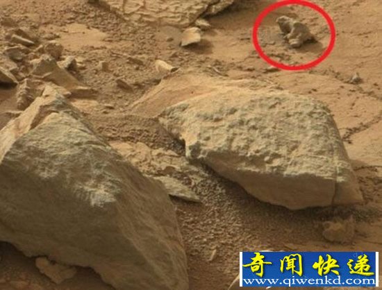 NASA刻意隐瞒火星巨型老鼠 原来外星生物长这样!