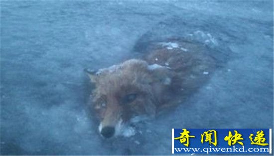移民火星后的十种死法 总有一款适合你!